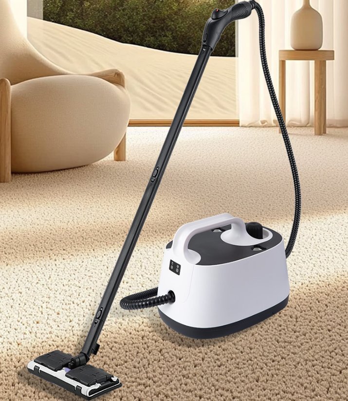 新型高温蒸気清掃机ホルムアルデヒド治理机家庭用洗浄机ホルムアルデヒド拍卖