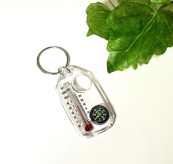 ジップ式サーモコンポ コンパス&温度計付きキーホルダー 温度計 計測機器 ナビゲーション ThermoCompass拍卖