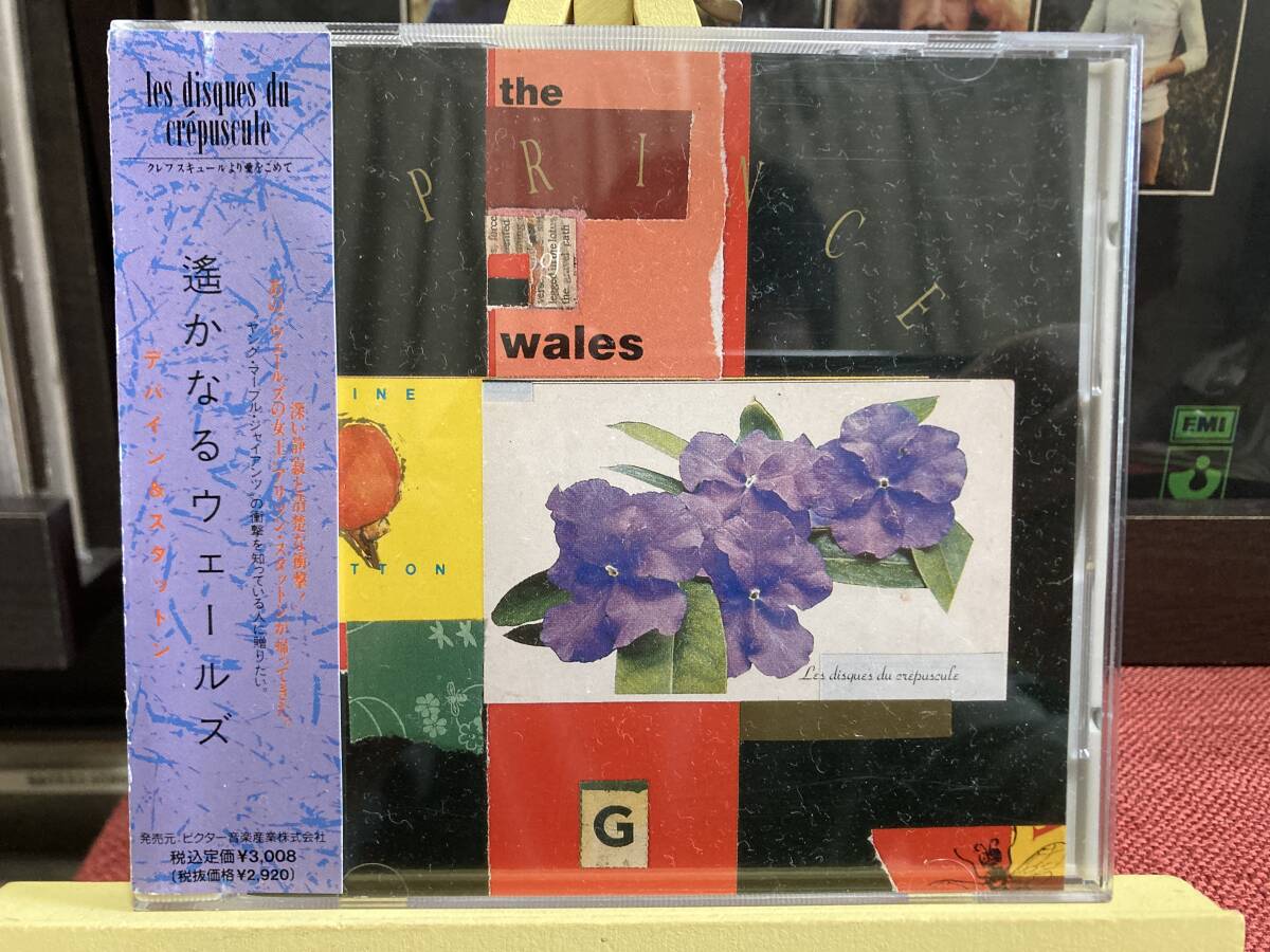 【CD】DEVINE & STATTON ☆ The Prince Of Wales 89年 Les Disques Du Crepuscule 国内盤 ネオアコ 名盤 Alison Statton 解説歌詞帯付き拍卖