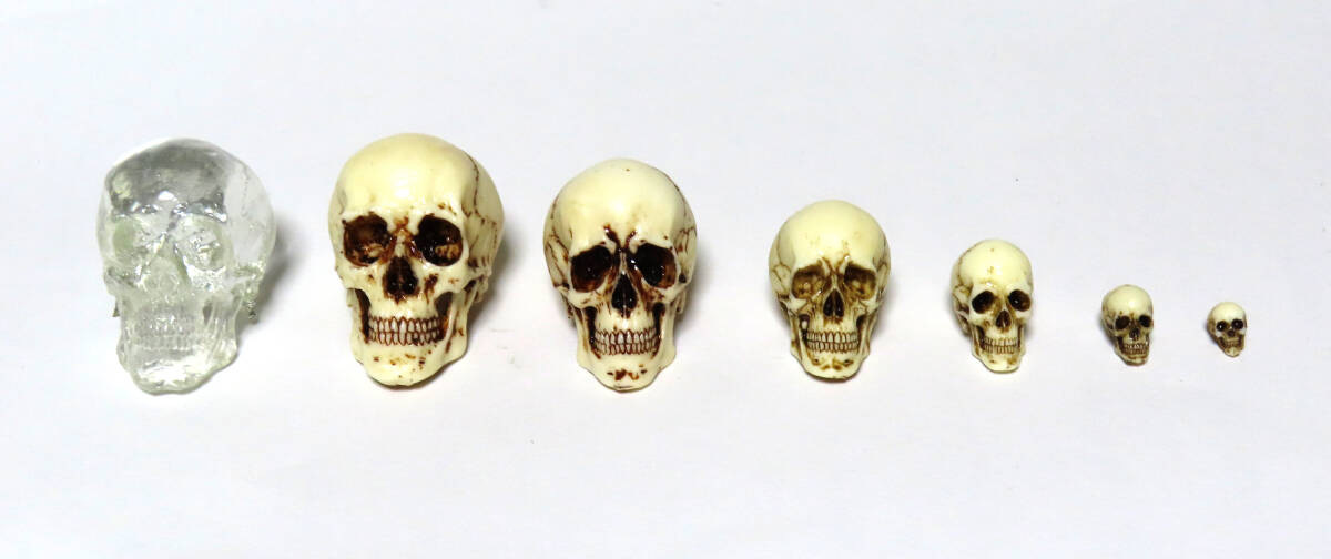 7点セット はるきくりえーしょん ドクロ ガレージキット 塗装済み完成品 ワンフェス スカル 頭蓋骨 髑髏 ワンダーフェスティバル拍卖