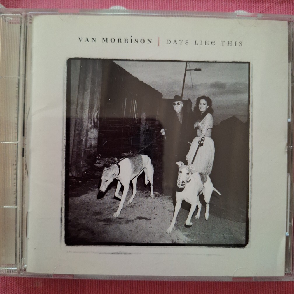 Van Morrison ヴァン・モリソン CD DATS LIKE THIS ロック 全12曲 1995年 国内盤 帯有 中古CD拍卖