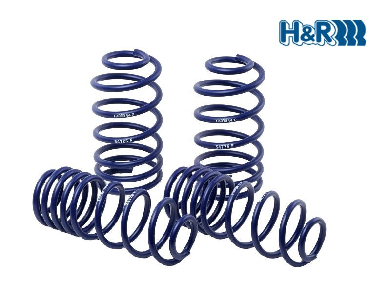 H&R ダウンサス VW パサート ヴァリアント 3C 3CCZE 3CCHH 4気筒ガソリン車用 2015/07~  送料無料(除く、沖縄)拍卖