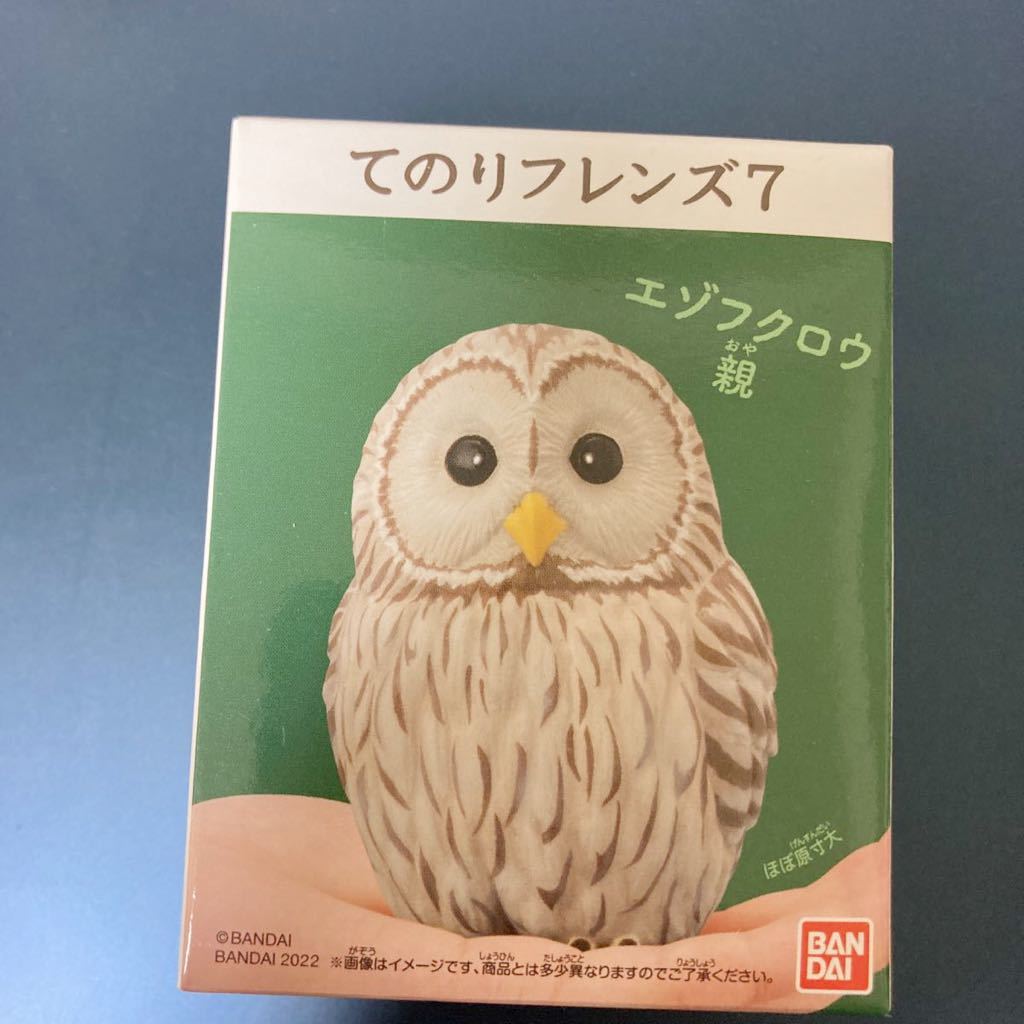 送安 即決 てのりフレンズ7 エゾフクロウ 親 フクロウ フィギュア マスコット 鳥 梟 てのりフレンズ 置物 インテリア ガーデニング 人形拍卖