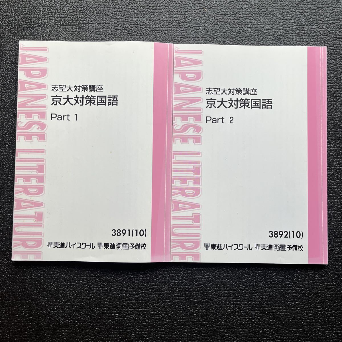 志望大対策講座 京大対策国語 Part 1、2 現代文編/林修 古文編/伊東潤拍卖