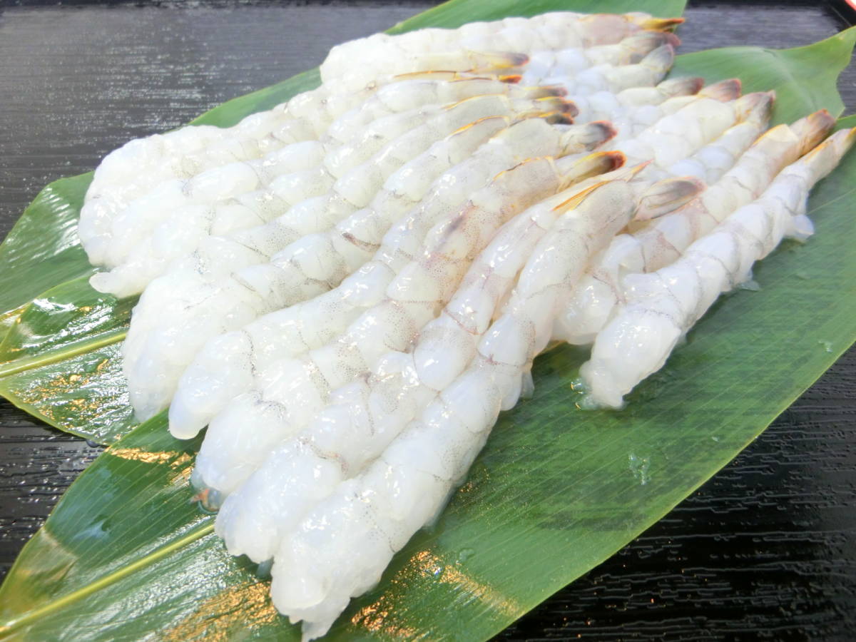 鮮度抜群でプリプリの伸ばしエビ たっぷり20尾入りです! 下処理済み お手軽にお使い頂けます拍卖