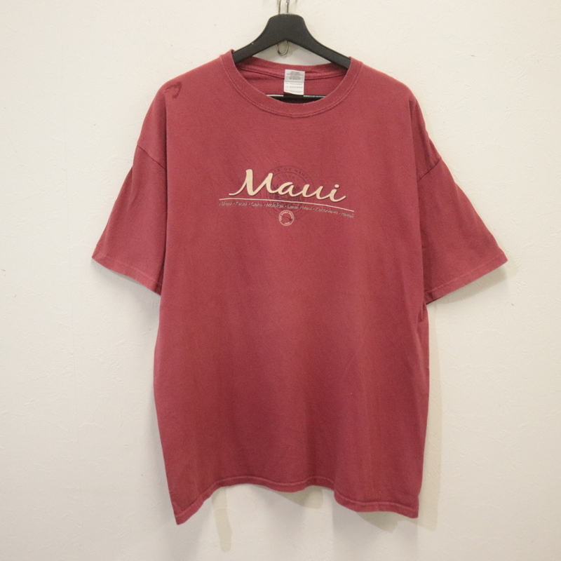 T998 2000年代製 GILDAN ギルダン 半袖Tシャツ■00s 表記XLサイズ レッド 赤 スーベニア 古着 アメカジ ストリート 90s 80s 70s 激安拍卖