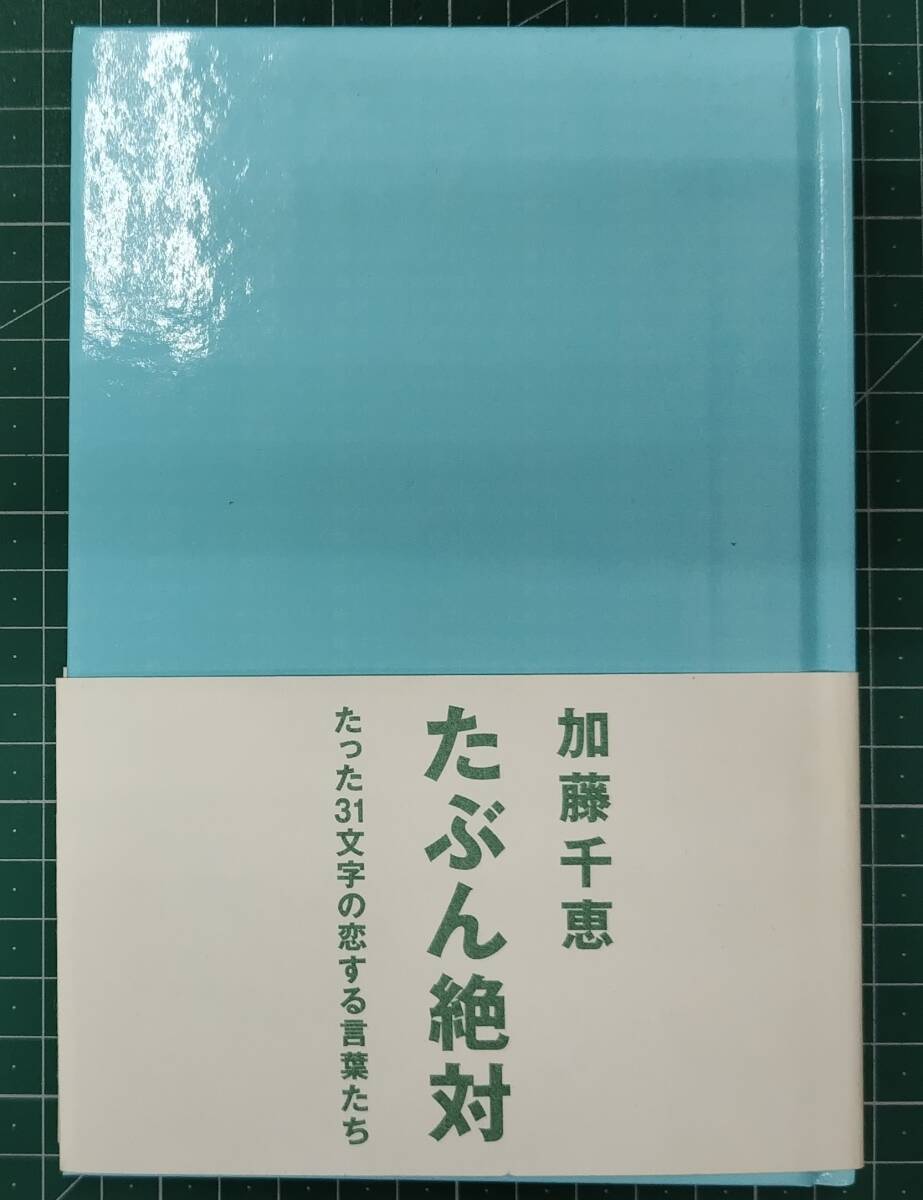 たぶん絶対 加藤千恵 歌集 2002年初版 マーブルトロン 中央公論社●H5212拍卖