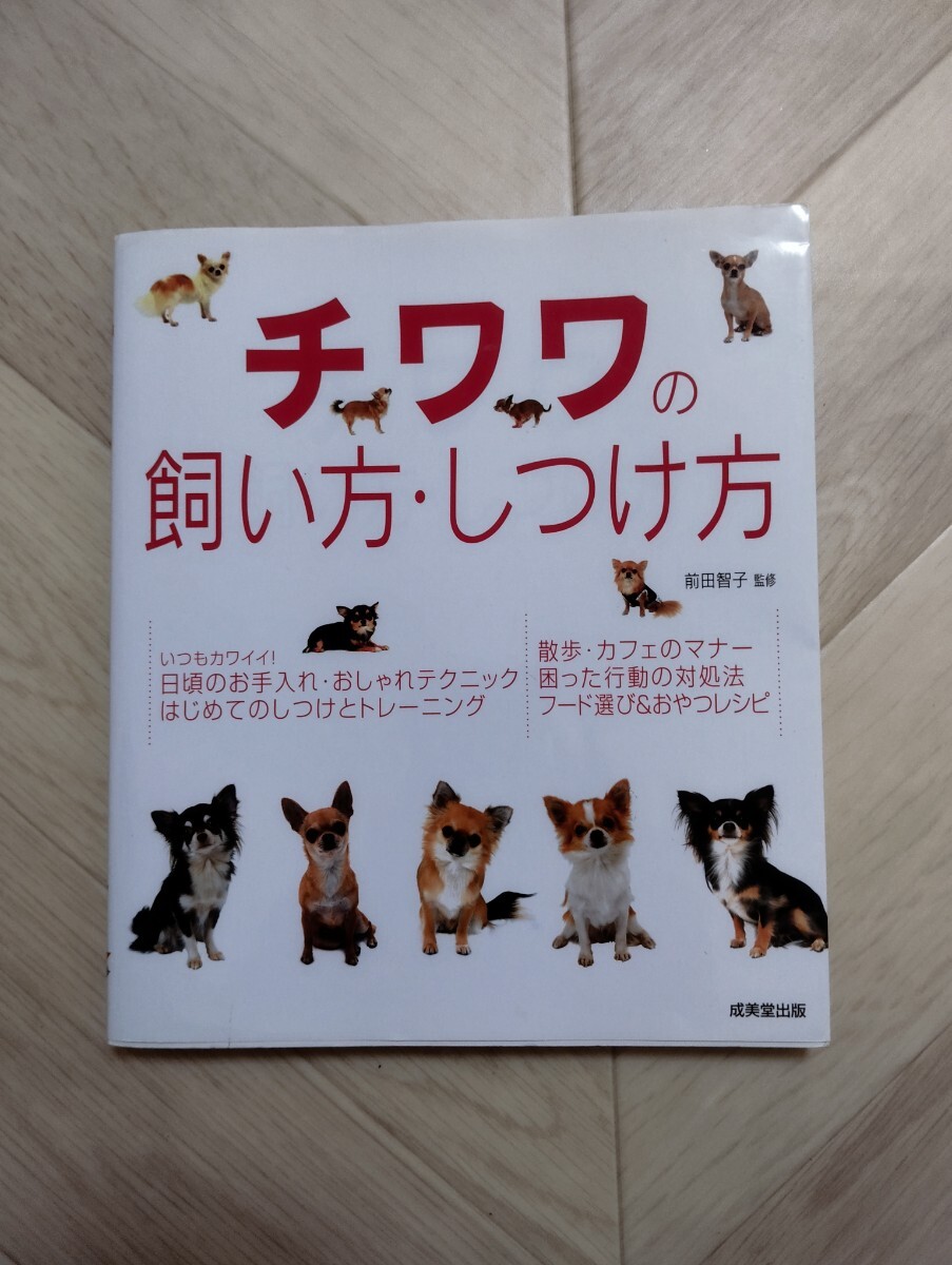 チワワの飼い方、しつけ方 成美堂出版社 犬ペット 古本拍卖