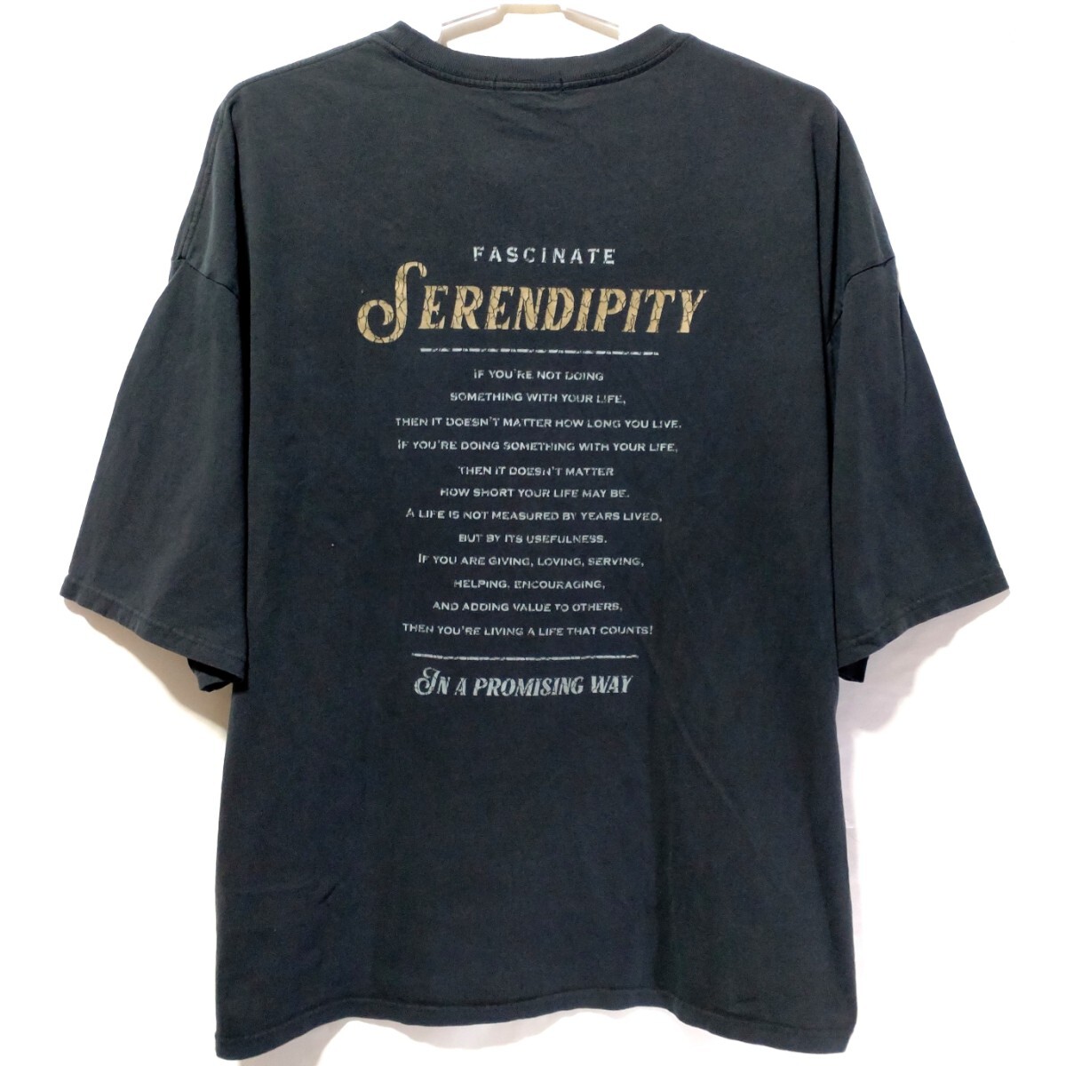 特価/未使用【サイズ=5L(4 XL)】アメカジ/英字プリント/メンズ/半袖/Tシャツ/胸囲=116~124cm/charcoal拍卖