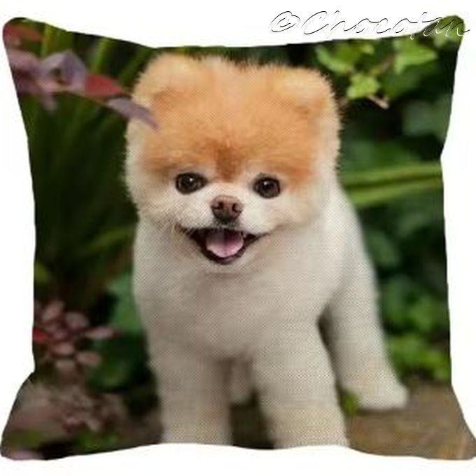 【送料無料】ポメラニアン N クッションカバー【新品】拍卖