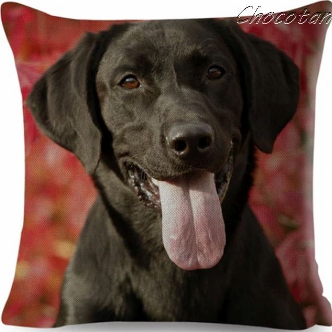 【送料無料】ラブラドール レトリバー N4 クッションカバー 黒ラブ 【新品】拍卖