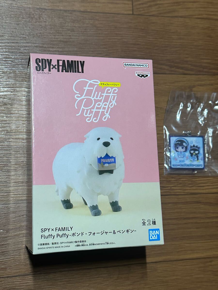 SPY FAMILY fluffy puffy あのちゃん バツ丸 キーホルダー セット BANDAI NAMUCO フィギュア拍卖