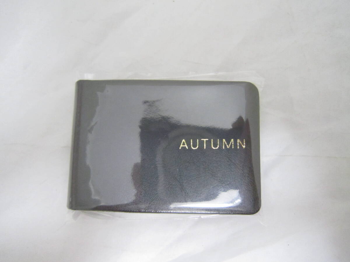 パーソナルカラー 色見本 AUTUMN 秋 スウォッチ 30色 [eeo拍卖