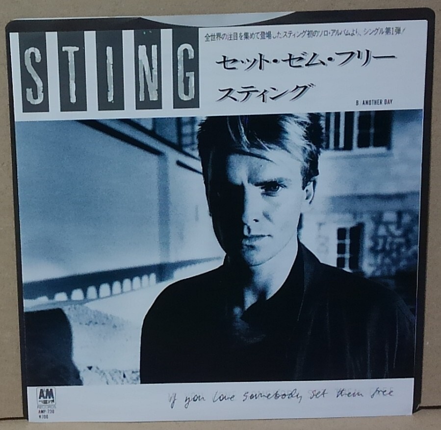 7インチ■スティング / セット・ゼム・フリー■AMP-220■STING / IF YOU LOVE SOMEBODY SET THEM FREE シングル/EP拍卖
