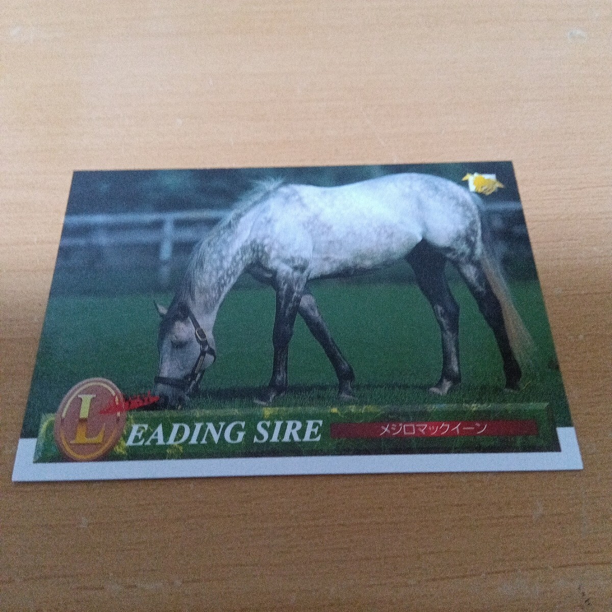 競馬 メジロマックイーン カードコレクション 未使用 ウマ娘 有馬記念 拍卖