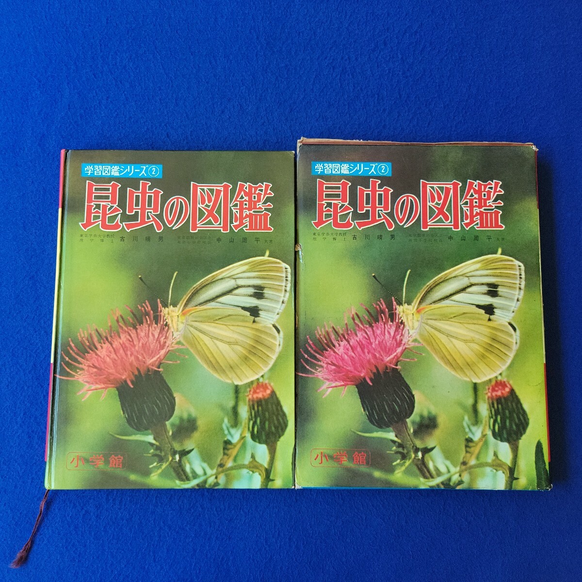 昆虫の図鑑〇昭和43年5月25日 改定23版発行〇小学館〇 学習図鑑シリーズ②〇アゲハチョウ〇トンボ〇セミ〇カブトムシ〇こん虫の家拍卖