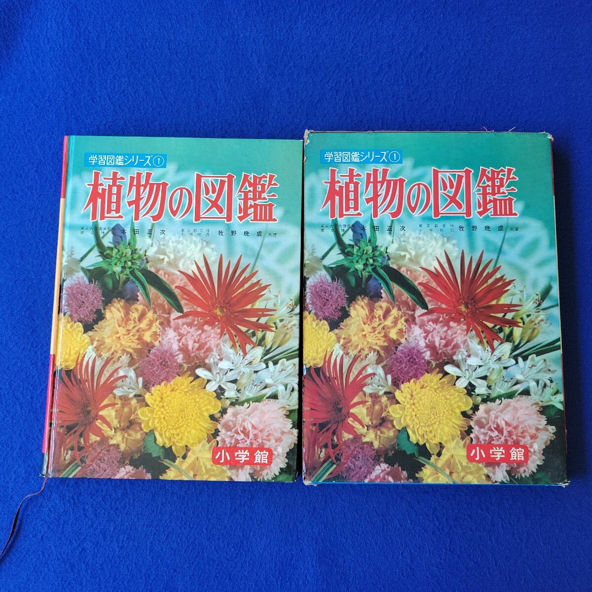 植物の図鑑〇昭和43年5月25日改定23版発行〇小学館〇 学習図鑑シリーズ①〇ツリフネソウ〇アサガオ〇ヒマワリ〇くだもの〇きのこ拍卖