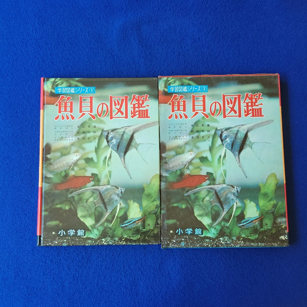 魚貝の図鑑〇昭和46年2月20日 改定33版発行〇学習図鑑シリーズ③〇小学館〇バンドウイルカ〇アオウミガメ〇ミナミハタタテダイ〇フグ拍卖