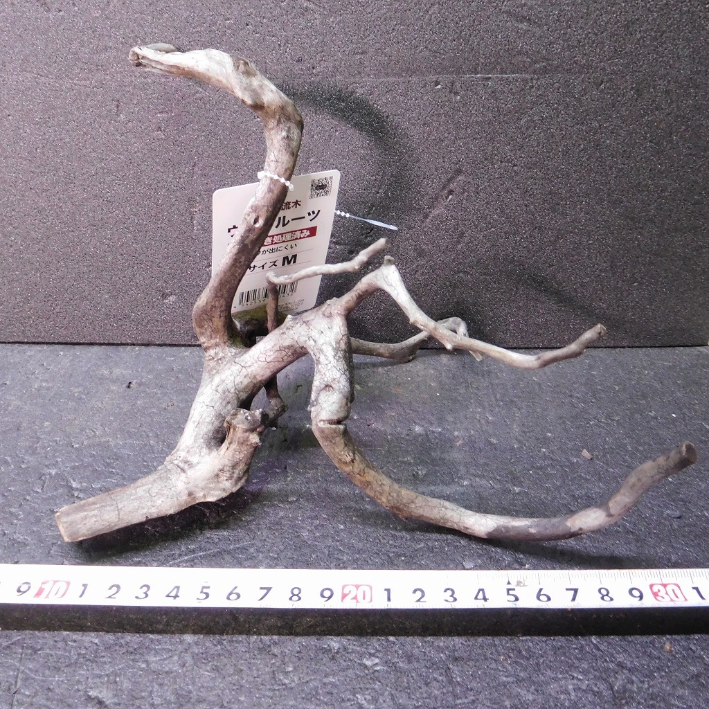 枝流木 リベラ ウッドルーツM 1点物 No.231 天然 デルフィス アク抜き済み レイアウト アクアリウム RIVERA拍卖