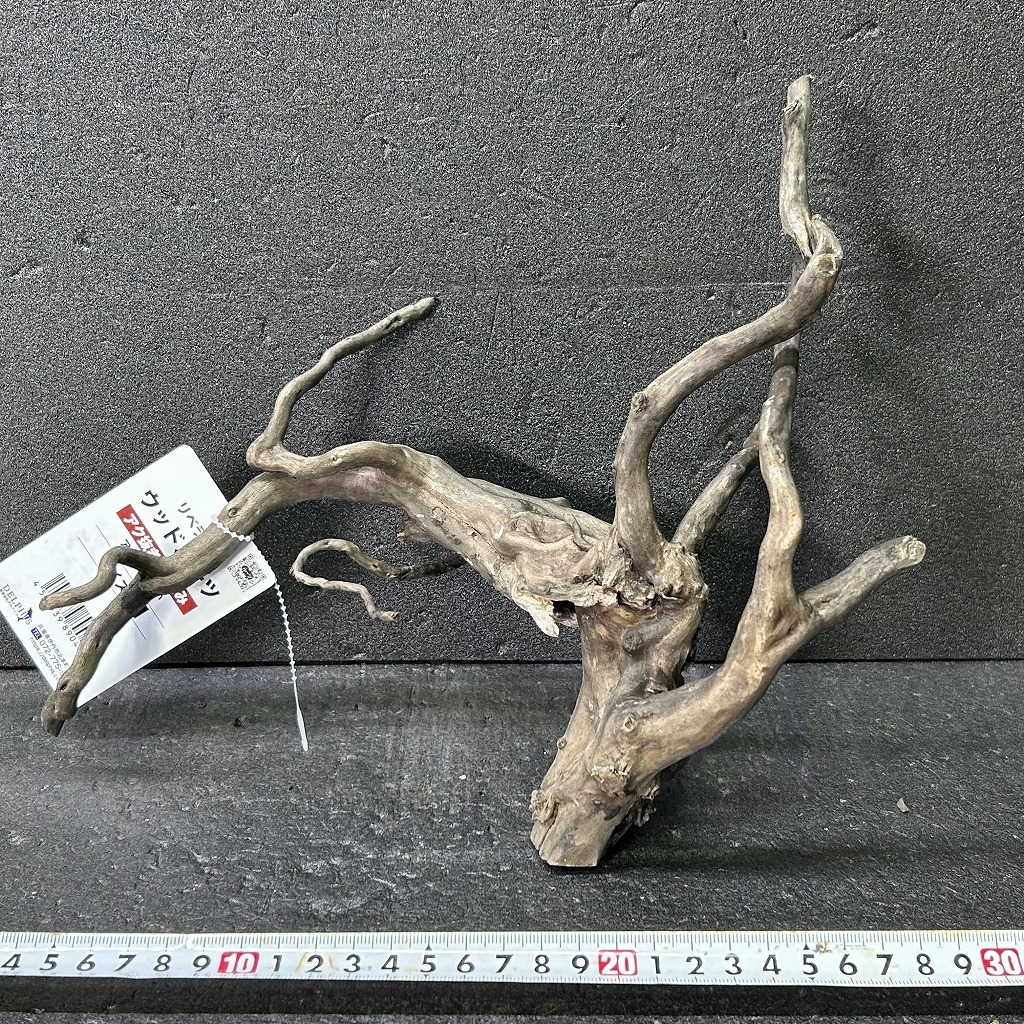 枝流木 リベラ ウッドルーツM 1点物 No.234 天然 デルフィス アク抜き済み レイアウト アクアリウム RIVERA拍卖