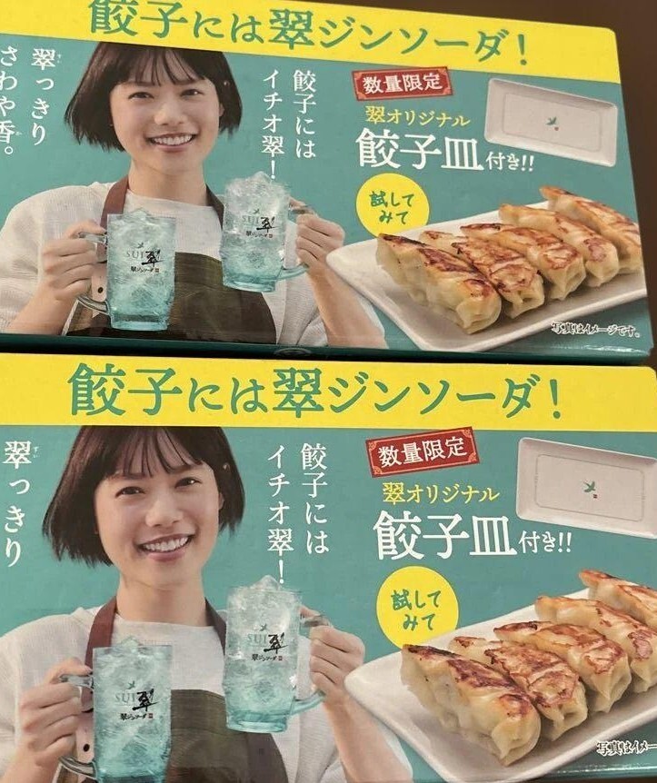 サントリー 翠ジンソーダ たち吉 餃子皿 2枚♪拍卖