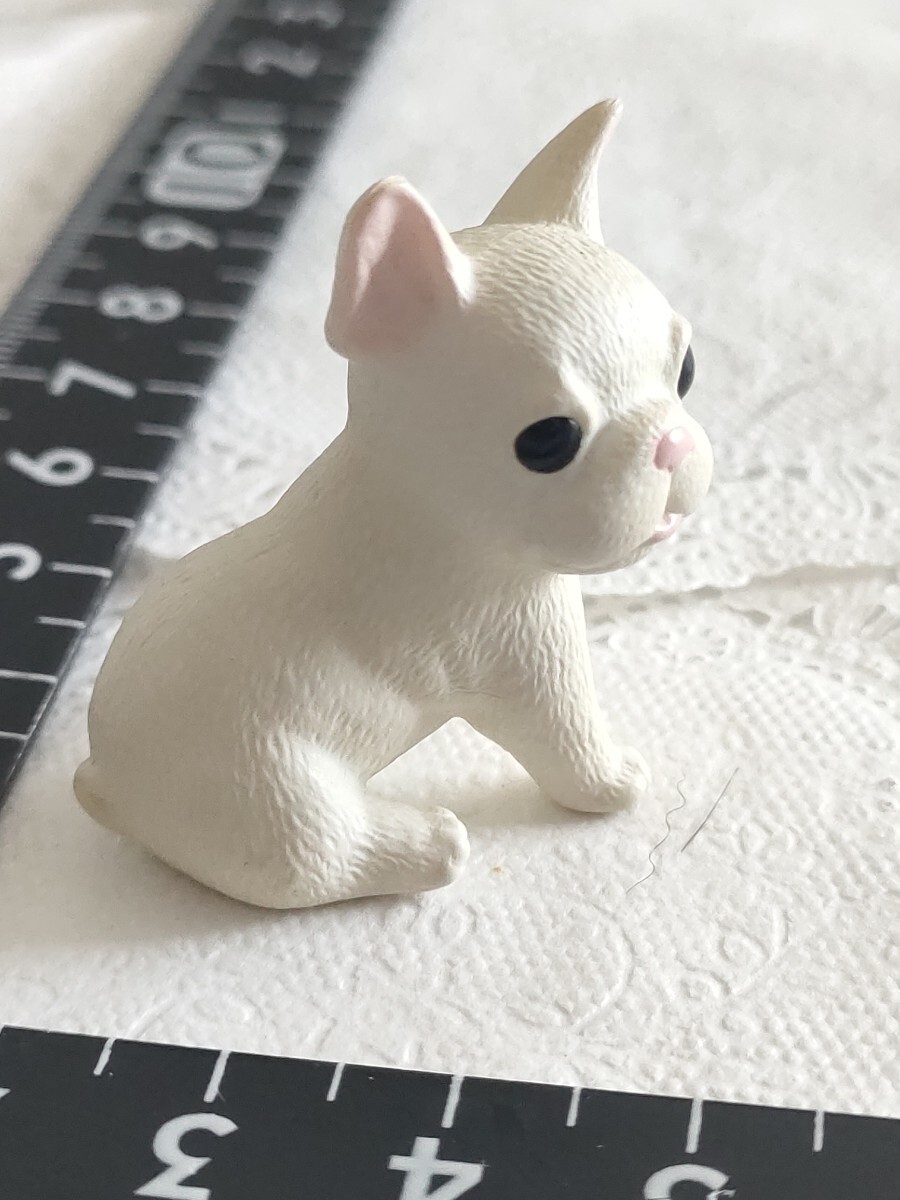 5r0724ドール用 ペット フレンチブルドッグ 白 ミニチュア 犬 バービー ジェニー momoko タミーちゃん リカちゃん ブライス 1/6ドール 子犬拍卖