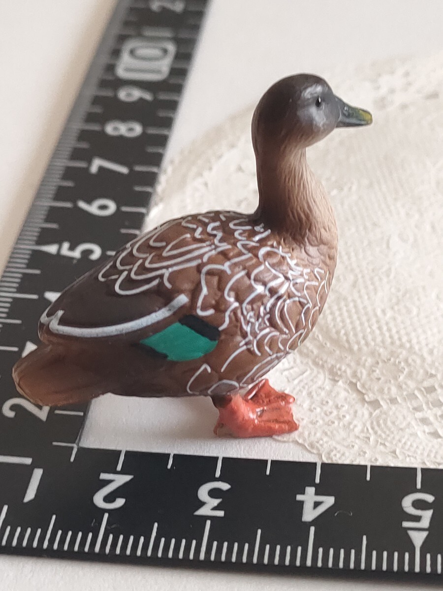 4r0416 ミニチュアプラネット カルガモ 動物 ミニチュア ドールハウス カモ拍卖