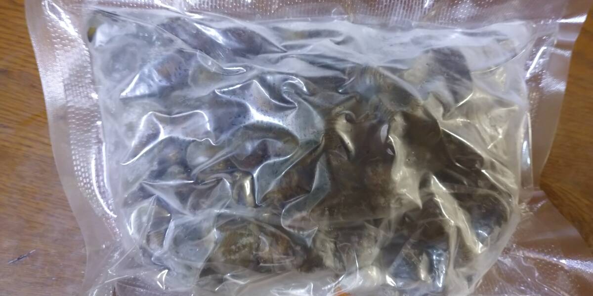 「p_mint」◇土用シジミ冷凍発送●淡水しじみ (L~MLサイズ)1kg+α 揖斐川産 クール又はチルド便発送 ●即決●60サイズ冷凍便着払い発送拍卖