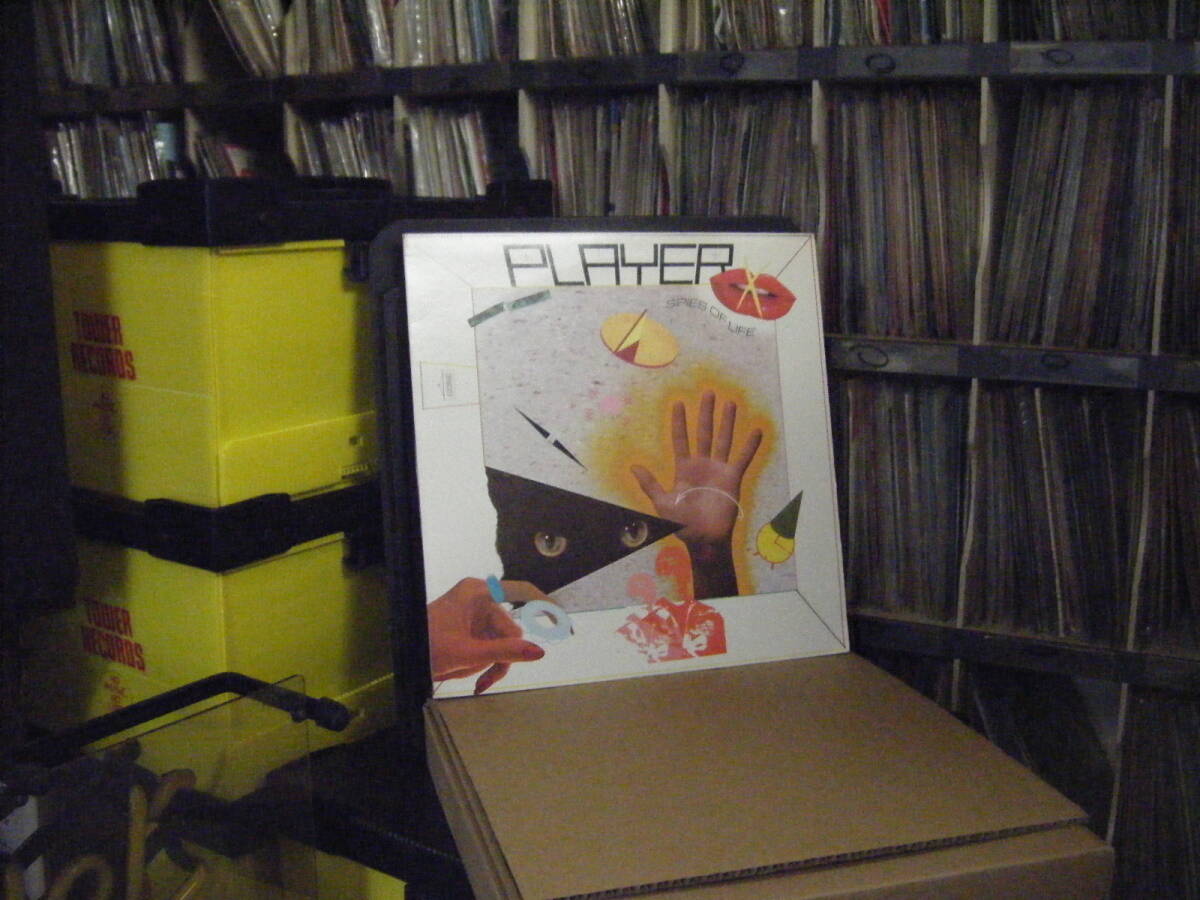 H-148 PLAYER / SPIES OF LIFE (US) 拍卖