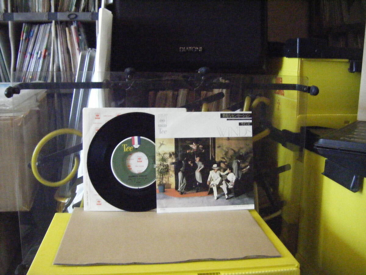 A-82 WINDS ウィンズ 素敵なセンセーション ※シングル盤 拍卖