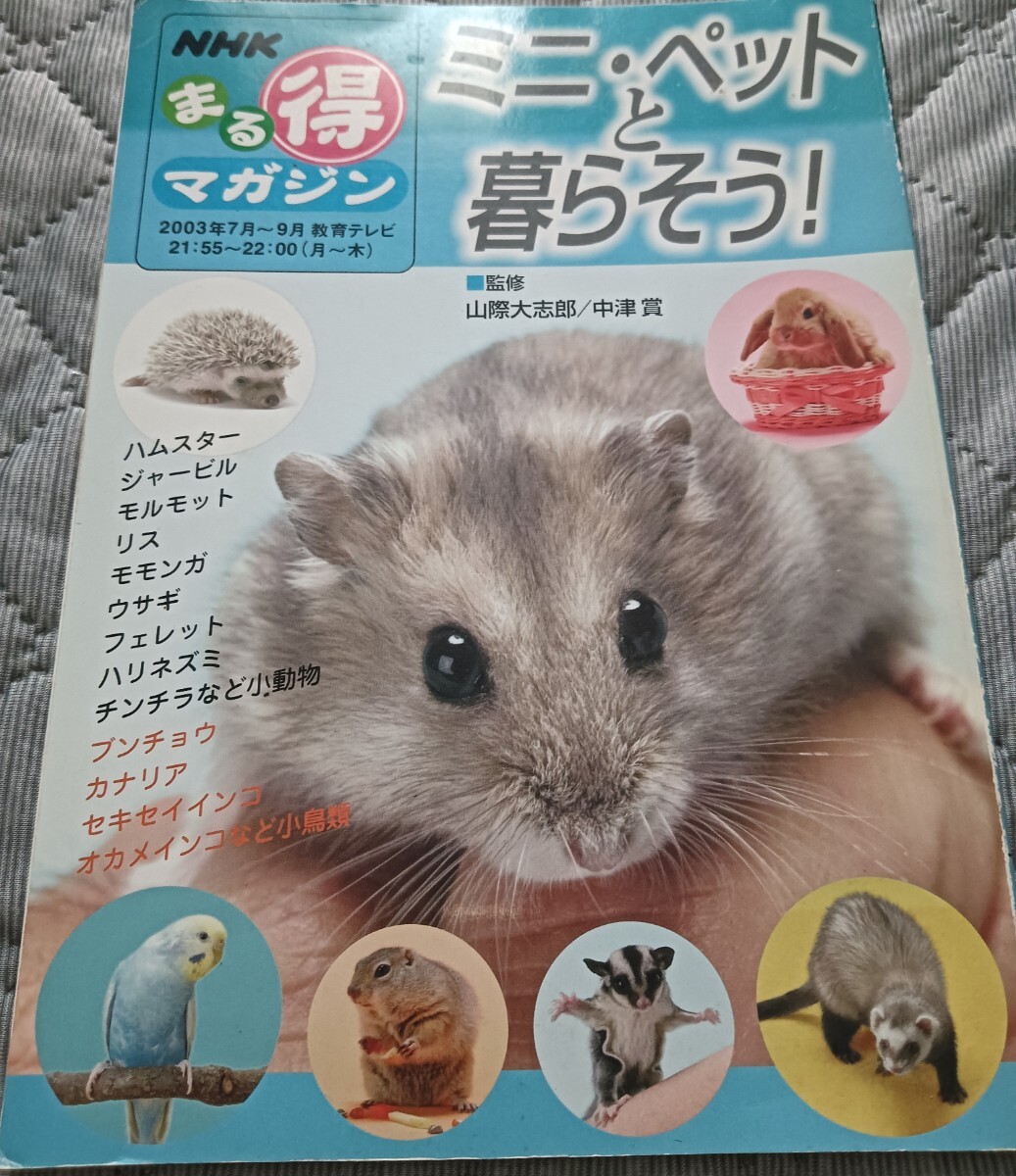 送料無料 美品 ミニ・ペットと暮らそう! ハムスター ウサギ フェレット小動物拍卖