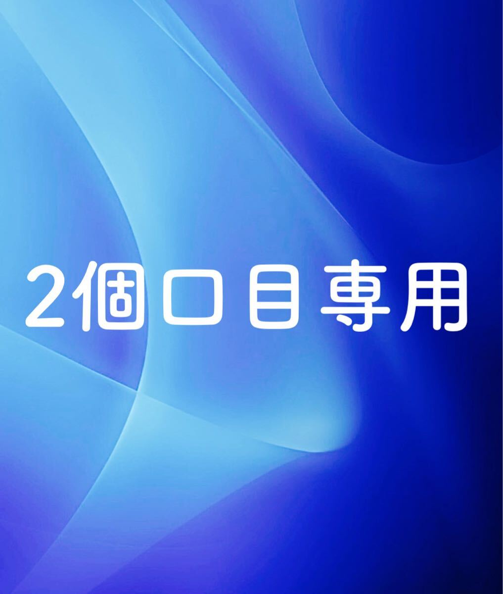 2個口目専用 ホイール拍卖