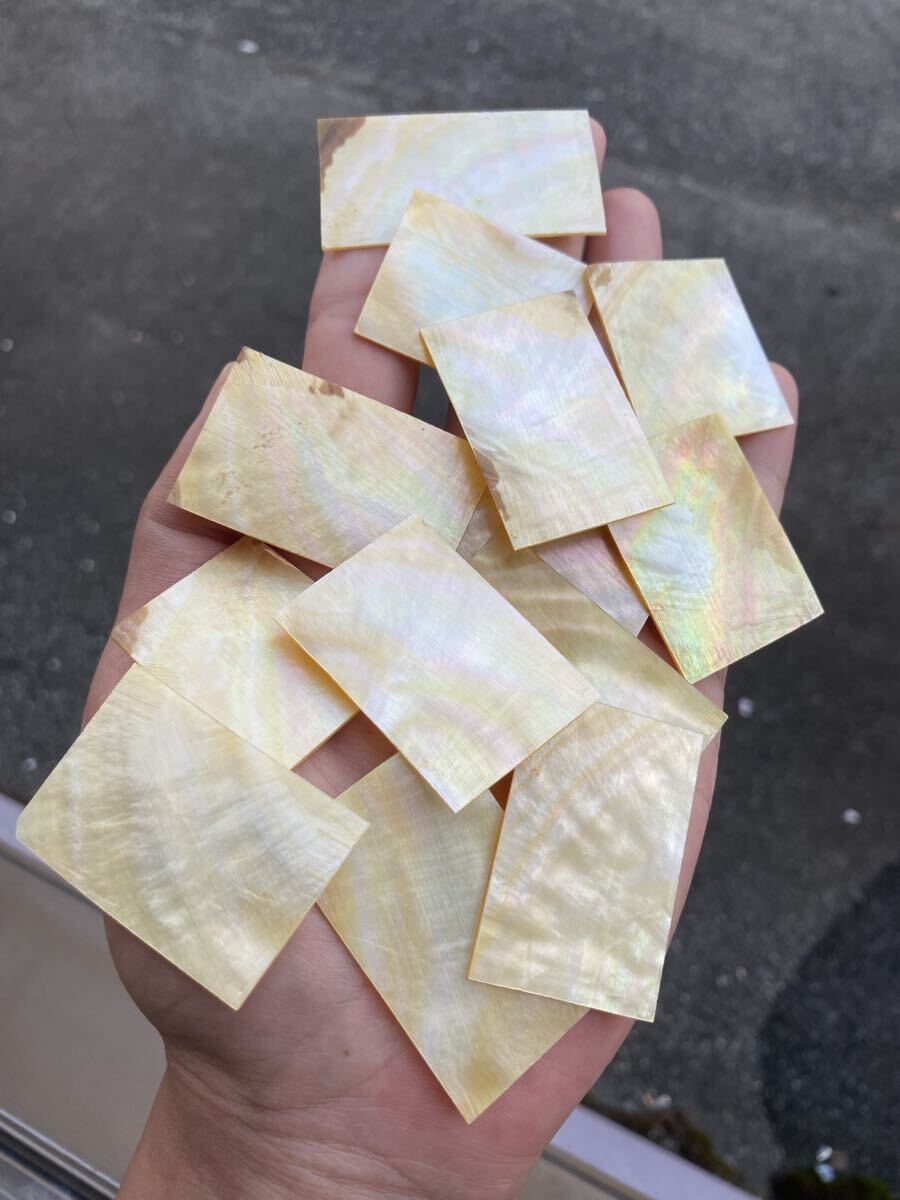白蝶貝 15枚セット 厚み1mm 平らか 螺鈿細工 ハンドメイド 素材拍卖