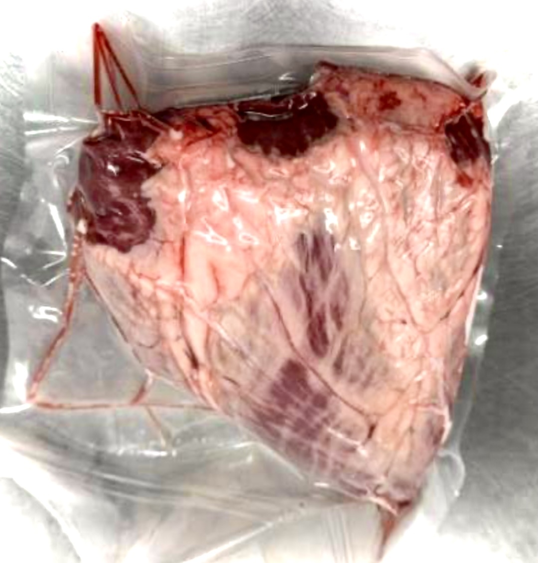 ^_^/【即決は2kg】国産 黒毛和牛 ハツ 牛心臓 1kgからの販売です☆拍卖