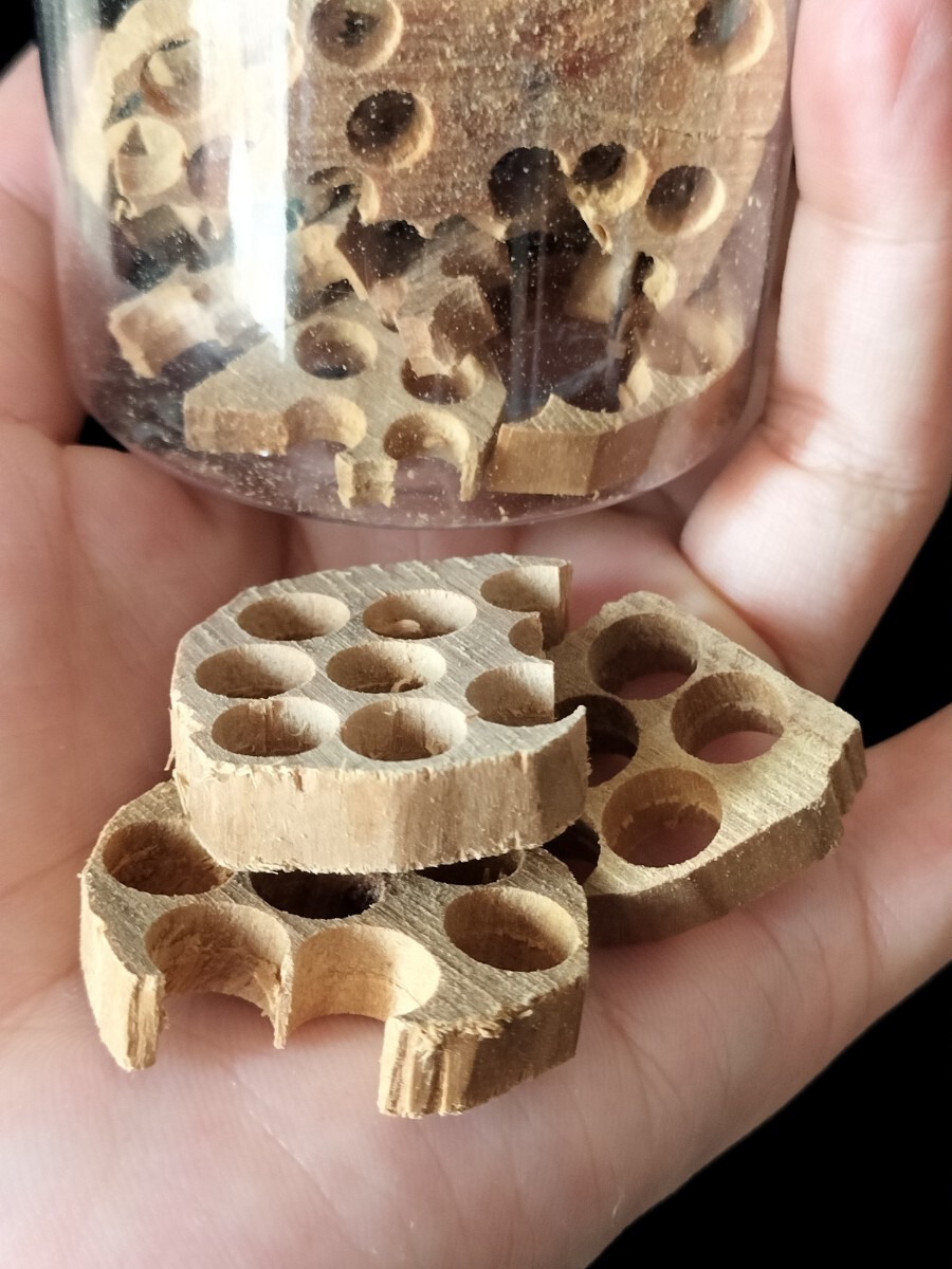 老山檀香木 サンダルウッド 白檀木 天然香木拍卖