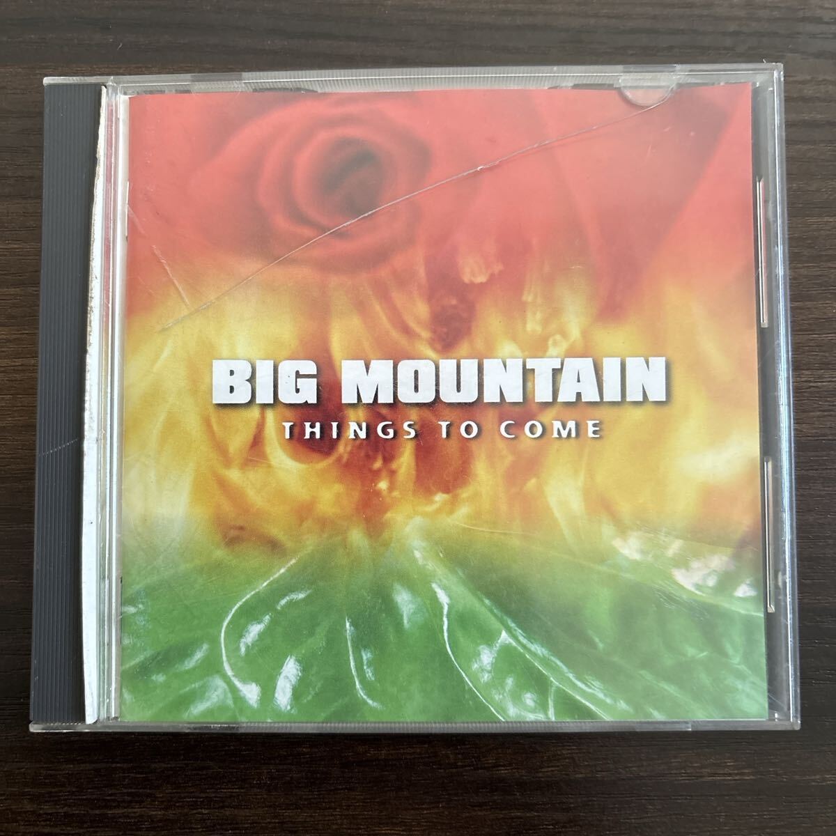BIG MOUNTAIN THINGS TO COME拍卖