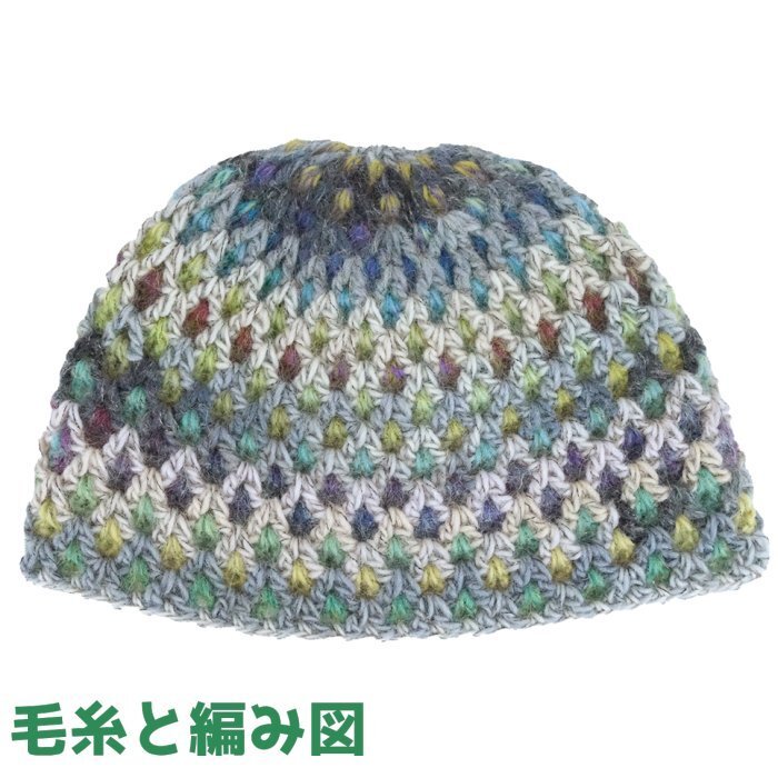 編み物キット 新品 ドミナを2色使って編むかぎ針編みのリバーシブル帽 ダイヤモンド毛糸 無料編み図 ウール モヘア 帽子 レディース拍卖