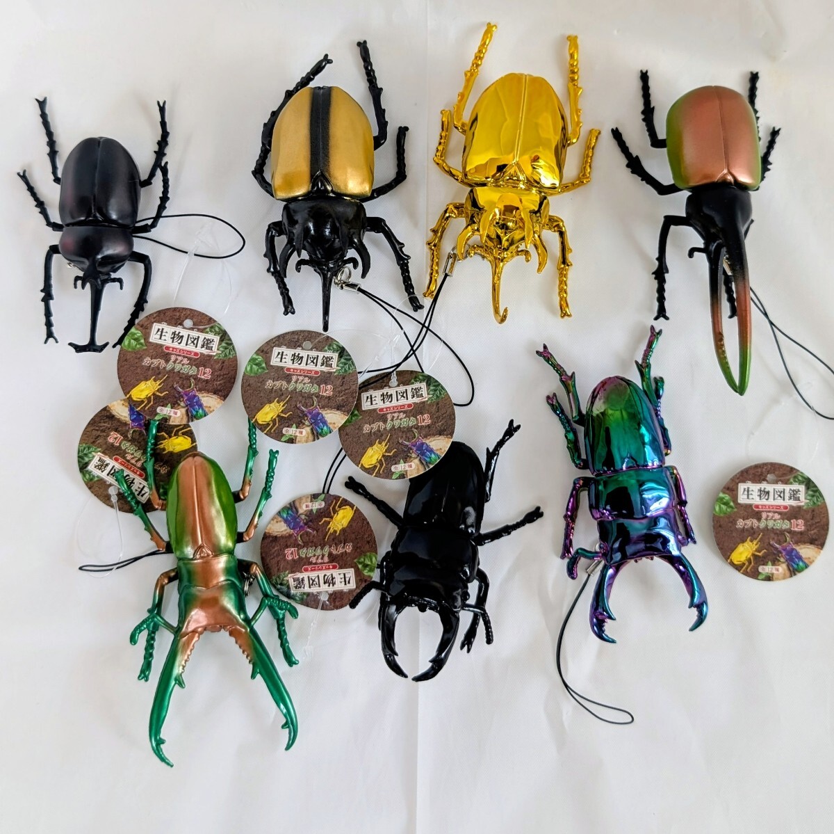 生物図鑑 リアル カブトクワガタ 12 フィギュア 7個セット 未使用 タグ付 送料無料拍卖