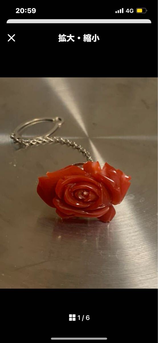 天然血赤珊瑚留ピン(ブローチ)拍卖