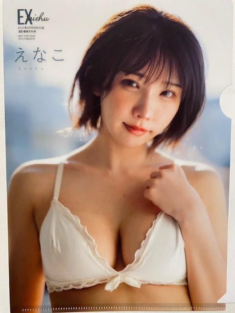 ◆即決◆ えなこ 両面クリアファイル 111拍卖