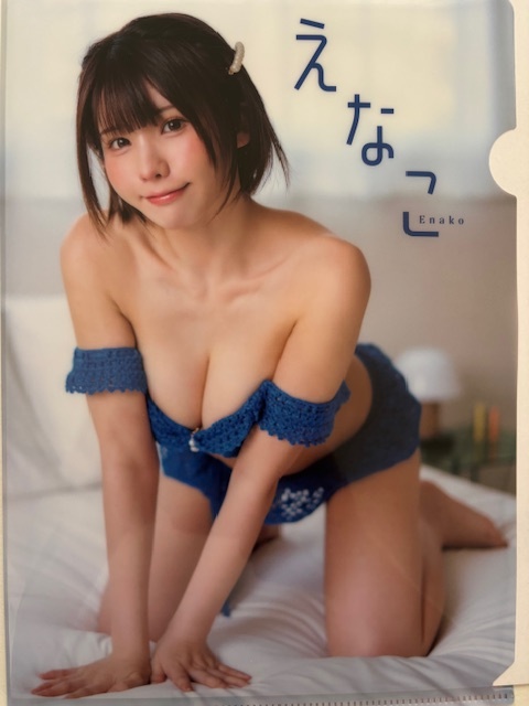 ◆即決◆ えなこ 両面クリアファイル 122拍卖