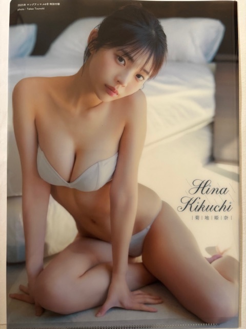 ◆即決◆ 菊地姫奈 両面クリアファイル 17拍卖