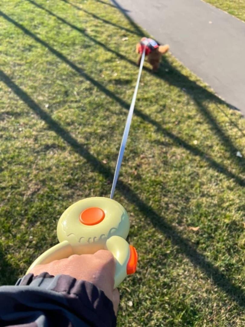 犬 リード 犬用リード 伸縮 自動巻き 犬のリード 長さ3m拍卖