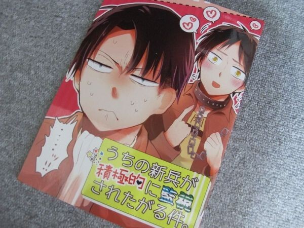 進撃の巨人■うちの新兵が積極的に監視されたがる件。/リヴァエレ■Lewis/つきしろ拍卖