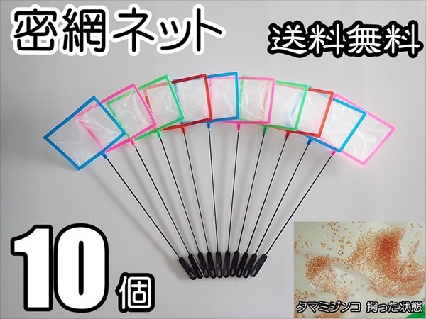 【送料無料】密網  10個  角型  水槽用品  即決  ミジンコ メダカ針子 シュリンプ等用に ゾウリムシは掬えません ネット 10本拍卖