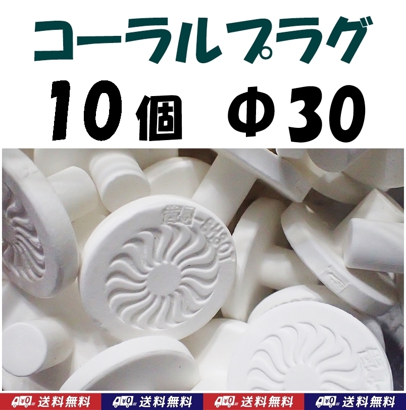 【送料無料】コーラルプラグ 10個 直径30mm T型 Φ30 コーラルフラッグ  海水魚 珊瑚 育成水槽に サンゴ プラグ セラミック拍卖