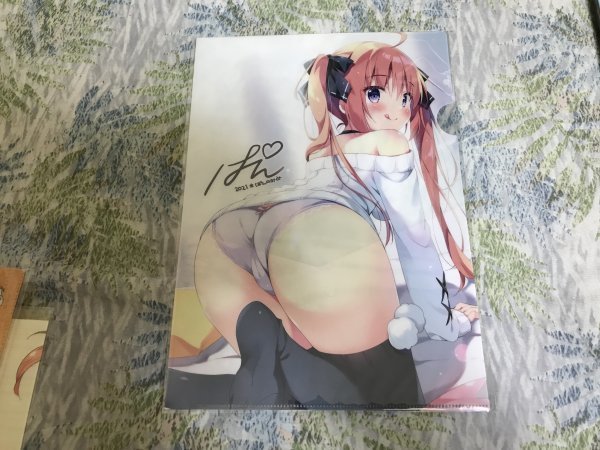 225クリアファイル (ぱん) エアコミケ2/ぱんのみみ メロンブックス特典拍卖