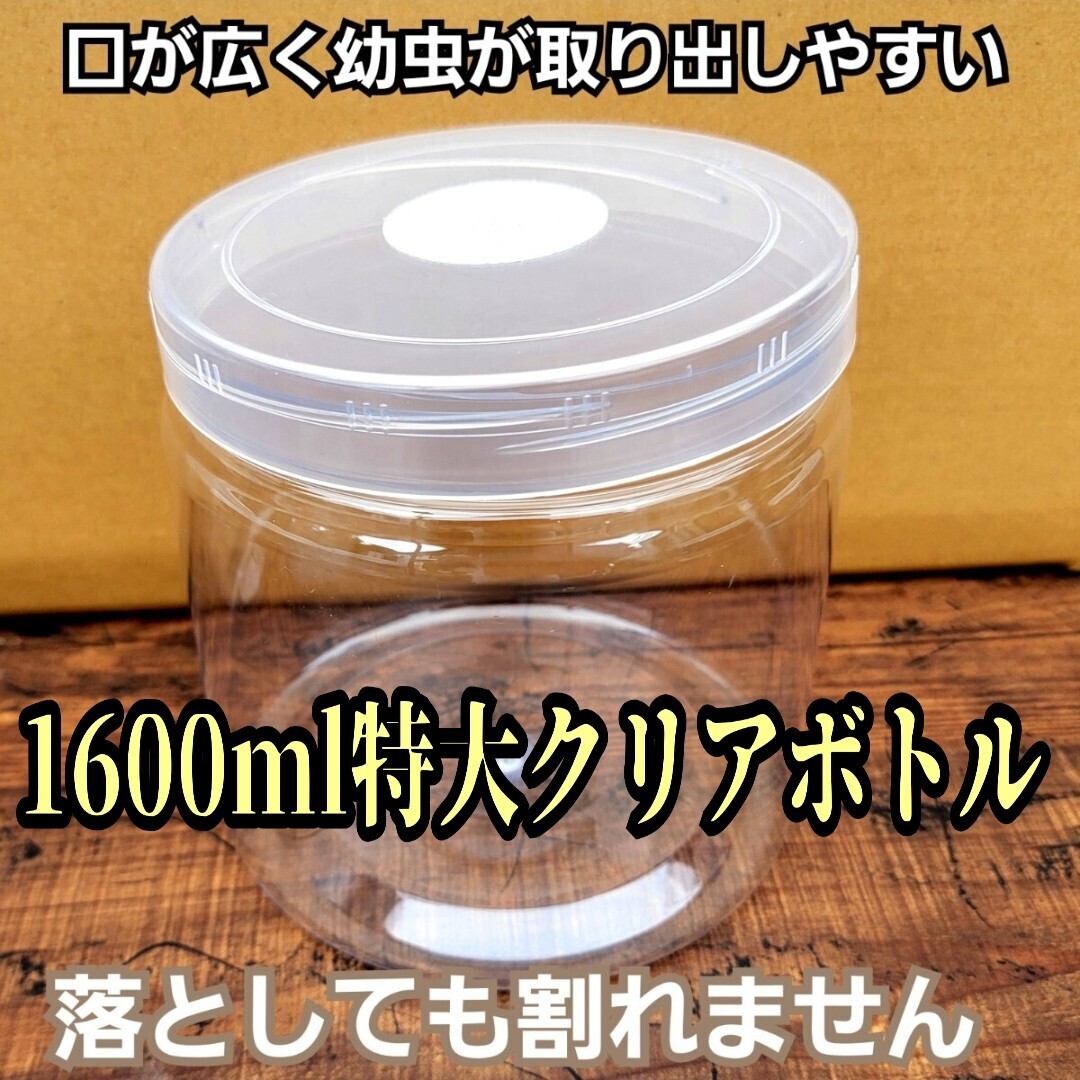 クワガタ幼虫専用 1600ml  クリア空ボトル 中がよく見える!通気性は保ちながら水分は逃がさない特殊フィルター 落としても割れません拍卖