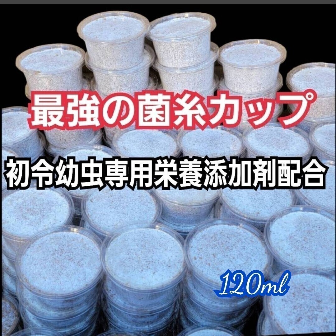 高品質! 菌糸カップ 割り出し直後の個別管理に最適! ヒマラヤひらたけ菌糸使用  初令・2令幼虫が大きくなる専用の栄養添加剤を配合拍卖