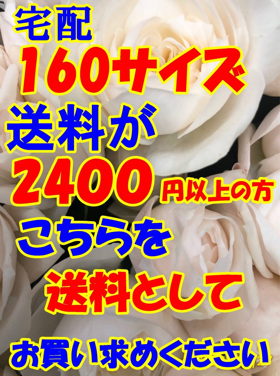 送料としてお買い求めください J160  日本全国同一金額 宅配 160 サイズで送料が 2400円 以上の方はこちらをお求めください拍卖